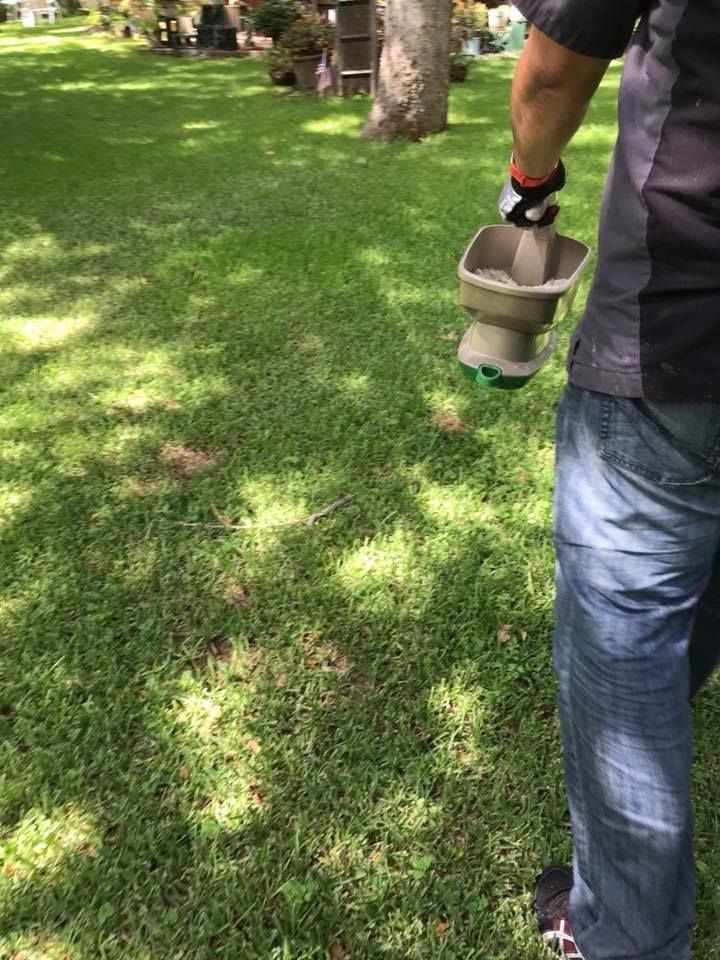 Wildlife Control for Toppers Wildlife Removal in Garland, TX
