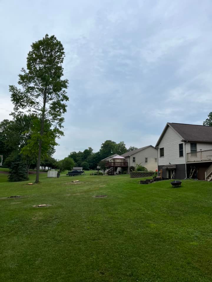 Tree Removal for J&E Tree & Excavation Services in Sandy, PA