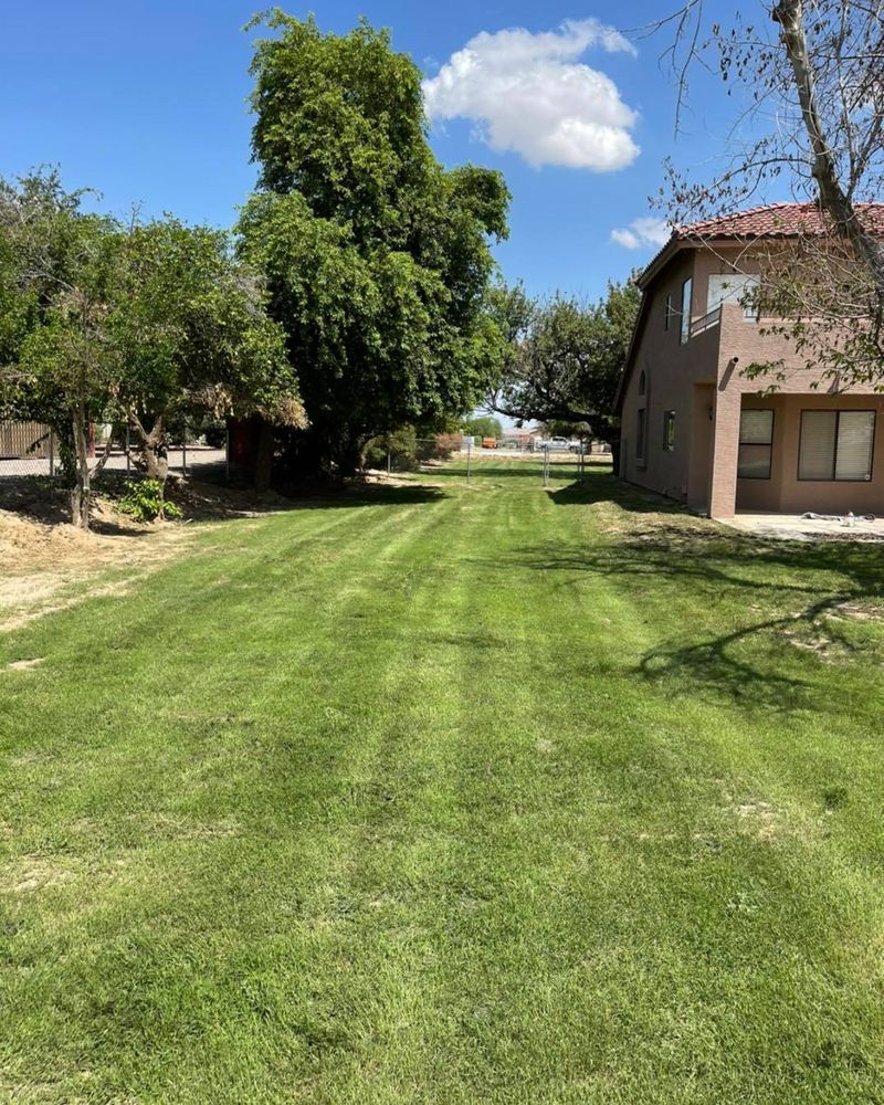 Lawn maintenance for American Dream Landscape Company in Surprise, AZ