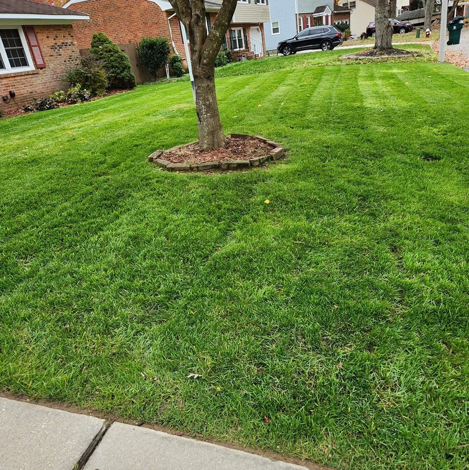 Our professional landscaping services will transform your outdoor space into a beautiful and inviting oasis. From lawn maintenance to planting flowers and trees, we ensure your yard looks pristine year-round. for Jose's Lawn Care & Tree Service in Williamsburg, VA