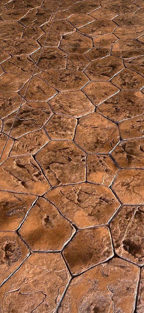 All Photos for Tuck Concrete LLC in Hendersonville, TN