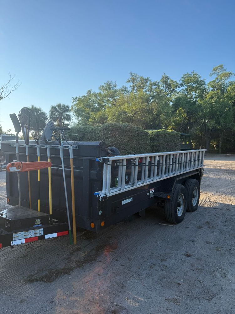 Tree Removal for Damian’s Tree Care in Sarasota, FL