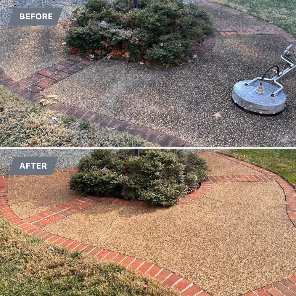 All Photos for LeafTide Solutions in Richmond, VA