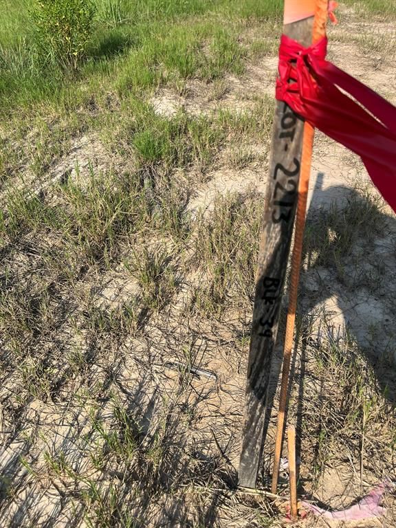 All Photos for My Linda House in Houston, TX