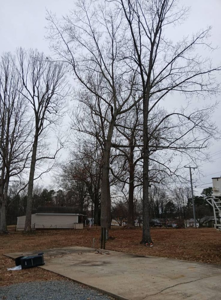 All Photos for Whiskey Ridge Mulching & Land Services in South Boston, VA