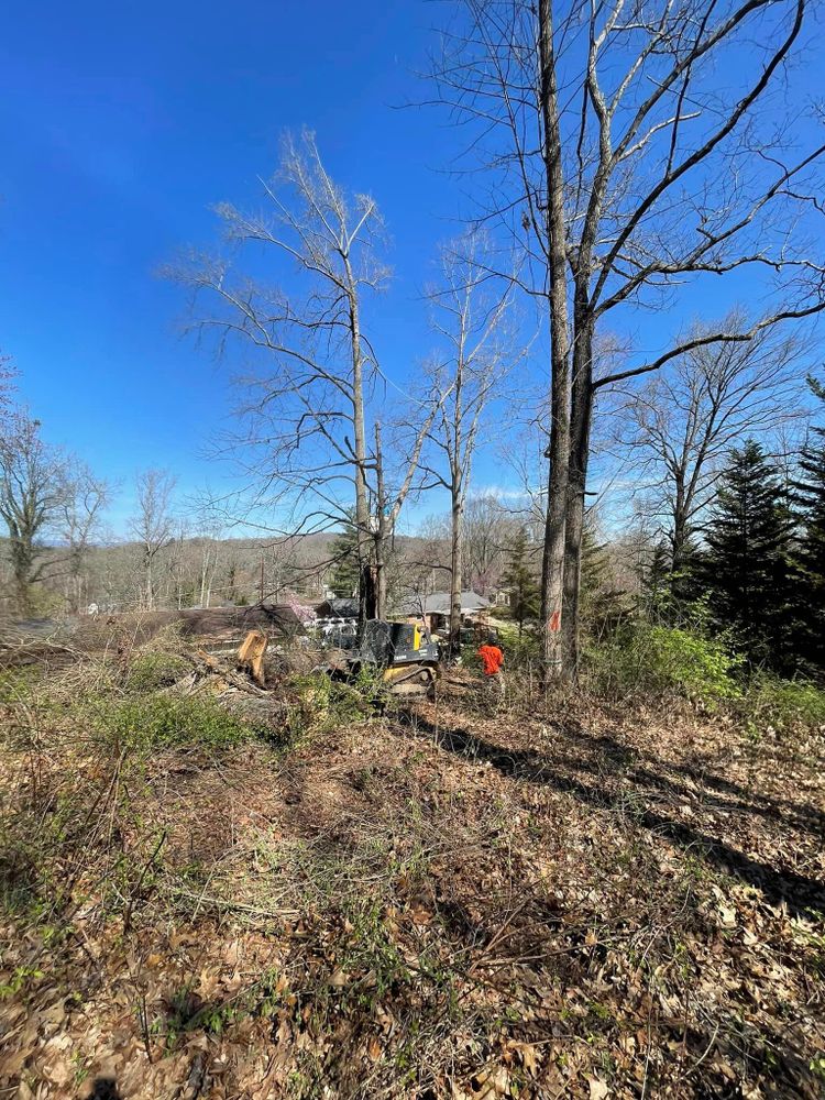 All Photos for Lucky’s Tree Removal and Landscape Services in Knoxville, TN