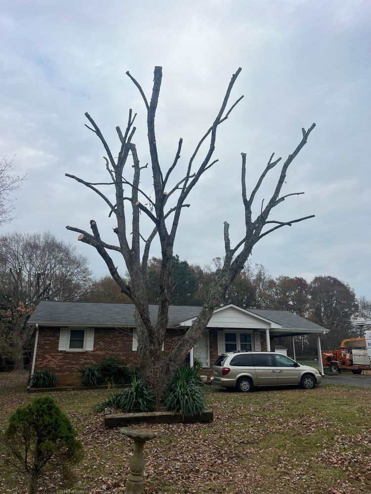 All Photos for Brooks Tree Service, LLC in Casar, NC