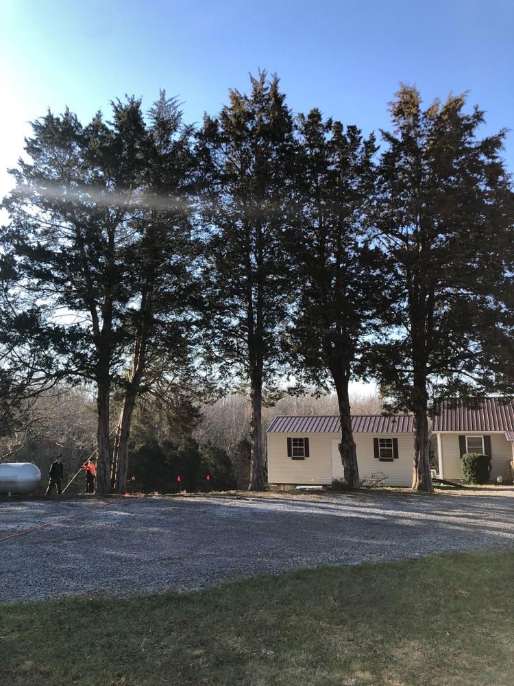 All Photos for Greenskeeper Property Management in Elizabethtown, KY