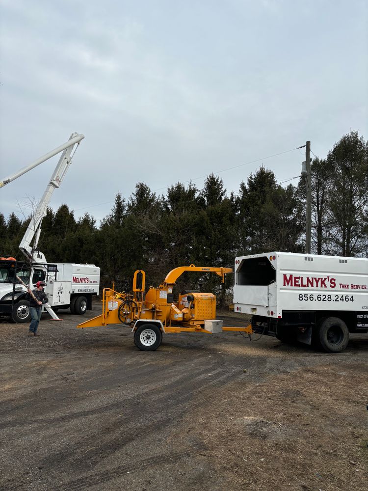 Tree Removal for Melnyk’s Tree Service in Salem County, NJ