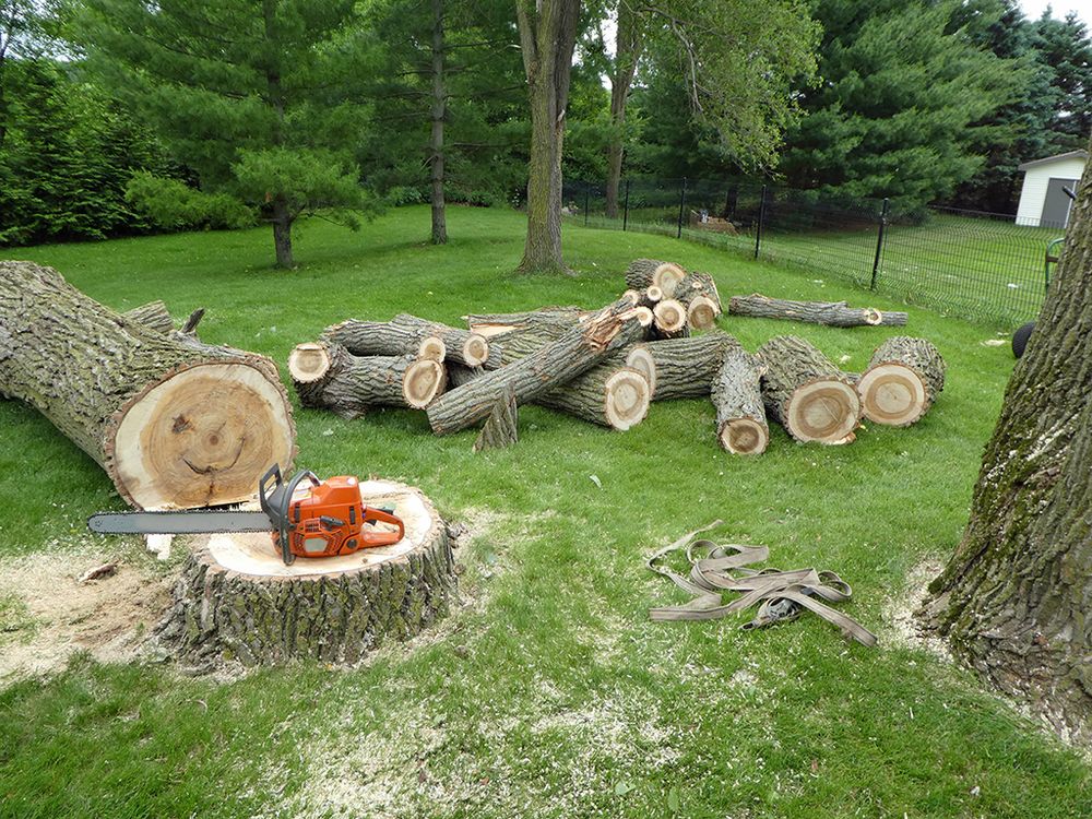 Our expert Tree Removal service ensures safe, efficient removal of unwanted or hazardous trees, enhancing your property's beauty and safety while minimizing disruption to your landscape. Trust us for professional results. for Timber Titans Tree Service in Indianapolis, IN