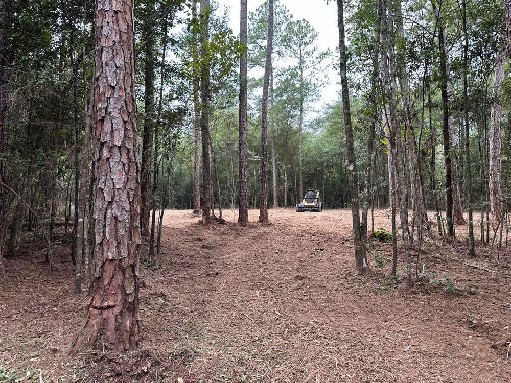 All Photos for White’s Land Maintenance in Milton,, FL