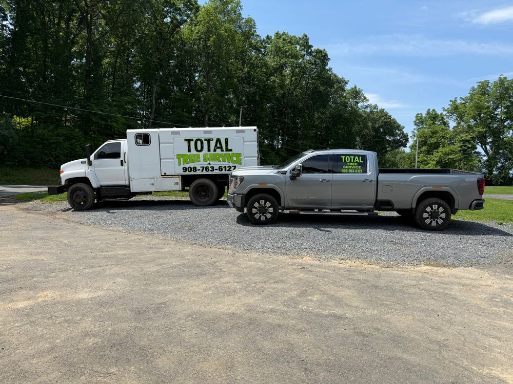 Total Tree Service team in Washington, NJ - people or person