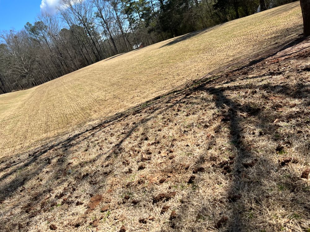 All Photos for Amerigreen Lawn & Landscape in Duluth, GA