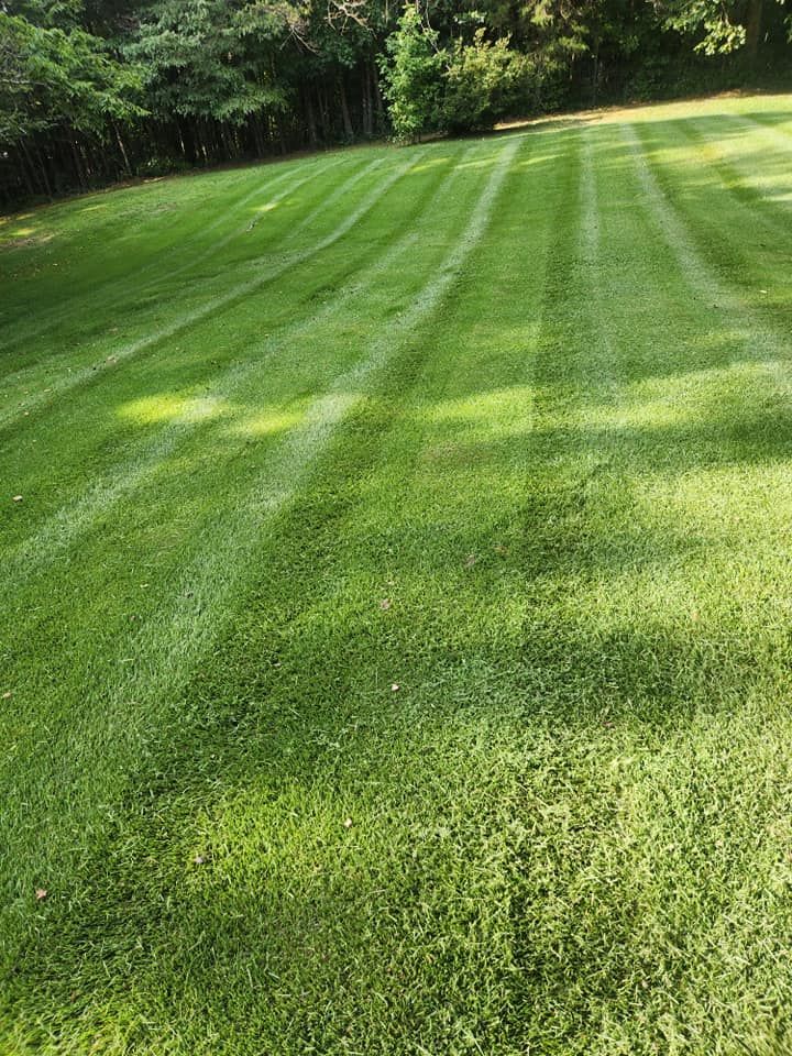 Ordered Steps Landscaping team in Rossville, GA - people or person