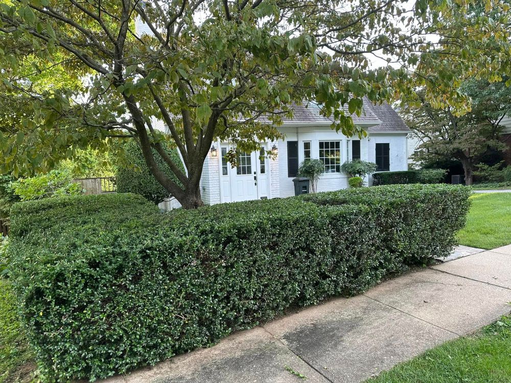 All Photos for Luna Landscaping and Construction in Parkville, MD