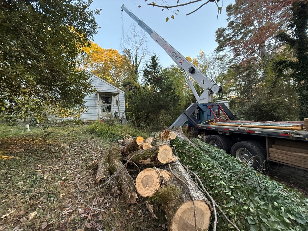 All Photos for Lucky’s Tree Removal and Landscape Services in Clinton, TN