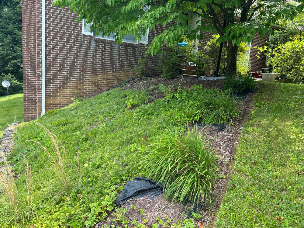 All Photos for Gatrell Landscape & Tree Removal in Bluff City, TN