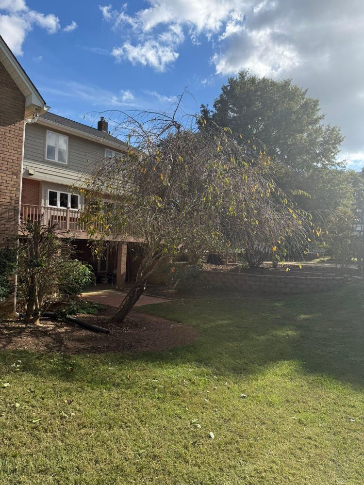 All Photos for Brooks Tree Service in Casar, NC