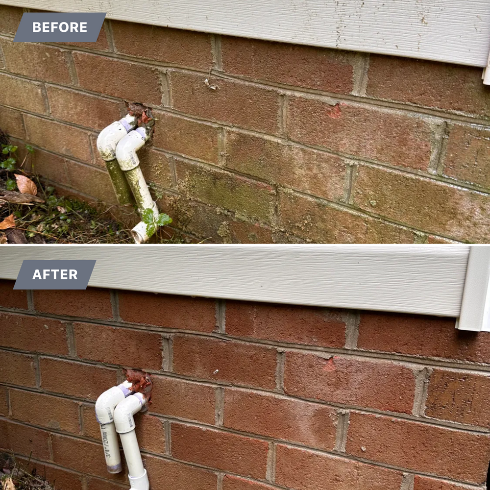 All Photos for LeafTide Solutions in Richmond, VA