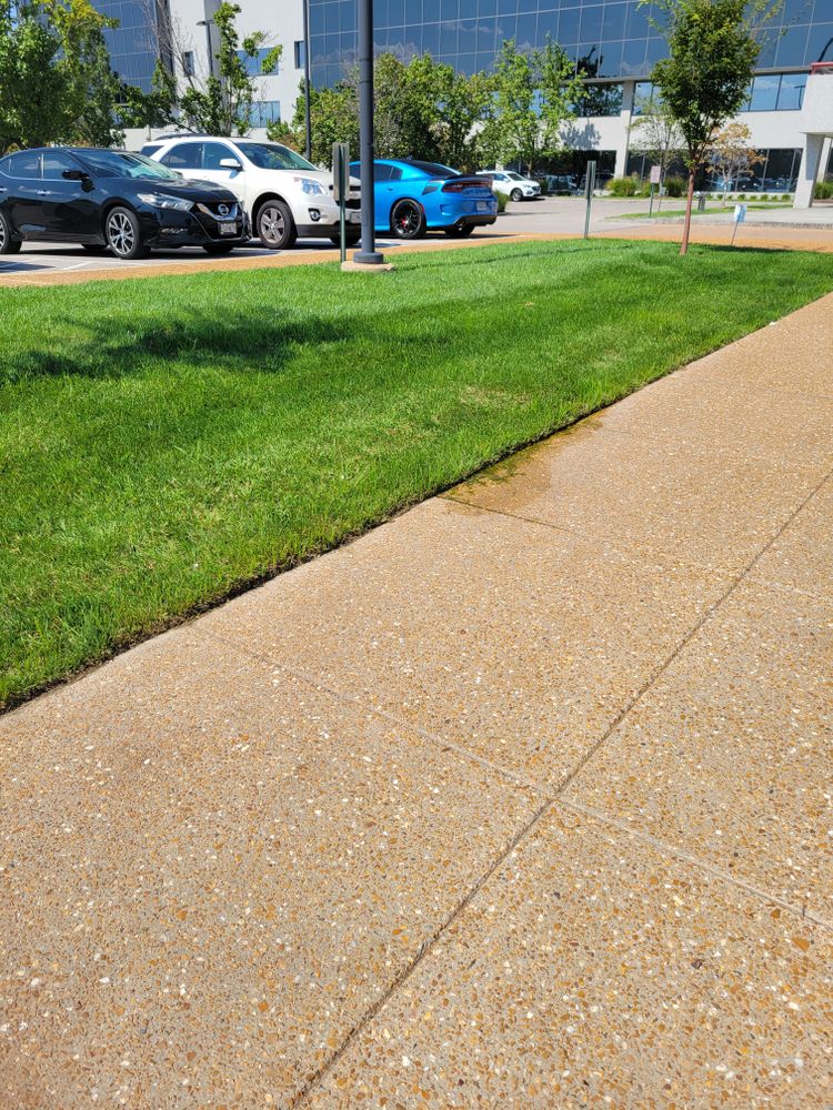 All Photos for Contemporary Landscape in St. Louis, MO