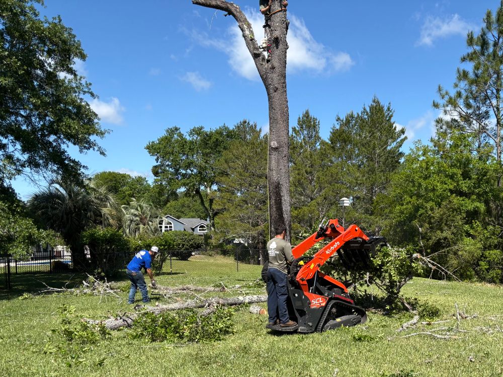 All Photos for Top Notch Tree Experts in Orange Park, FL