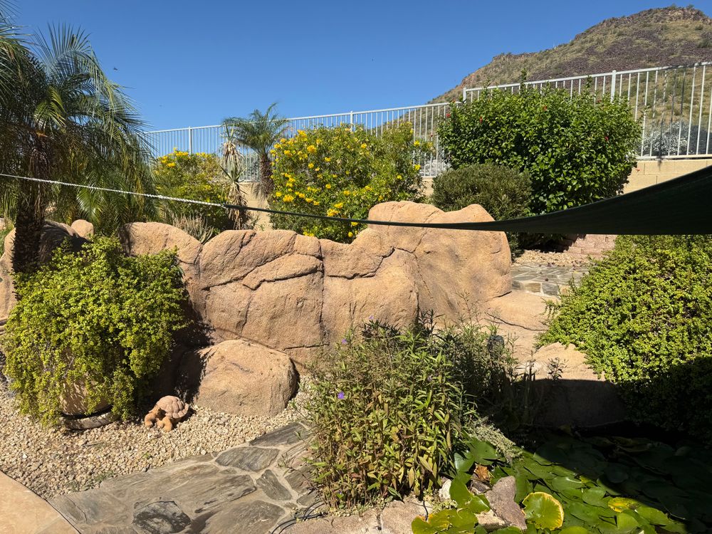 All Photos for Arizona Backyard Synergy in Phoenix, AZ