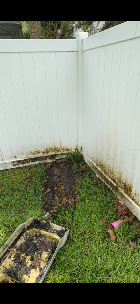 All Photos for Project Masters Group in Tampa, FL