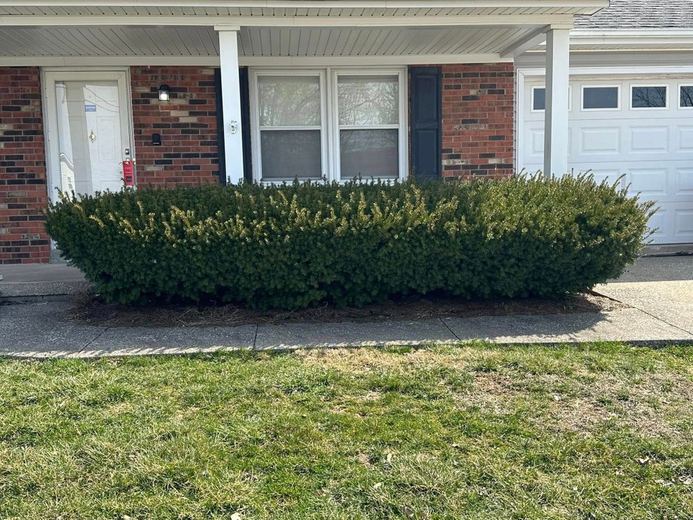 Lawn and Landscape for JKL Lawn Service in Frankfort, KY