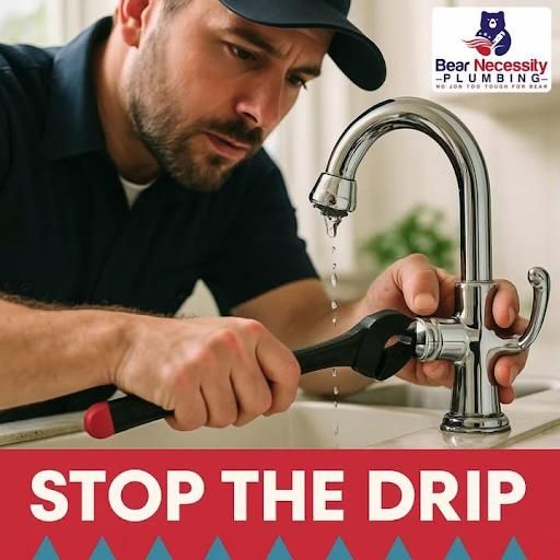 All Photos for Bear Necessity Plumbing in Longs, SC