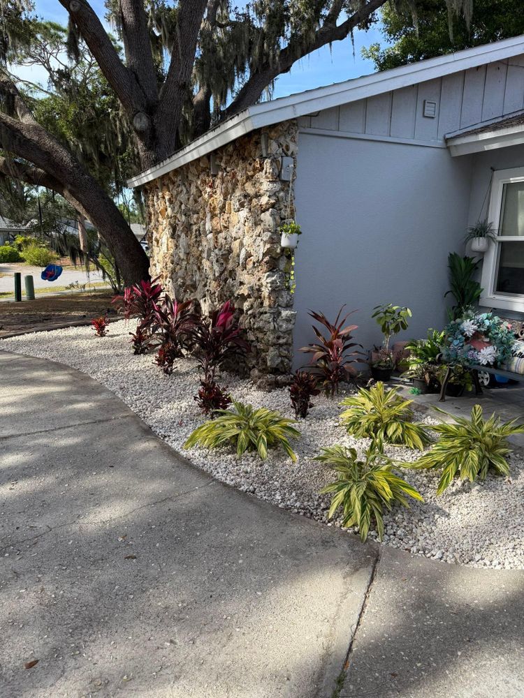 All Photos for Damian’s Tree Care in Sarasota, FL