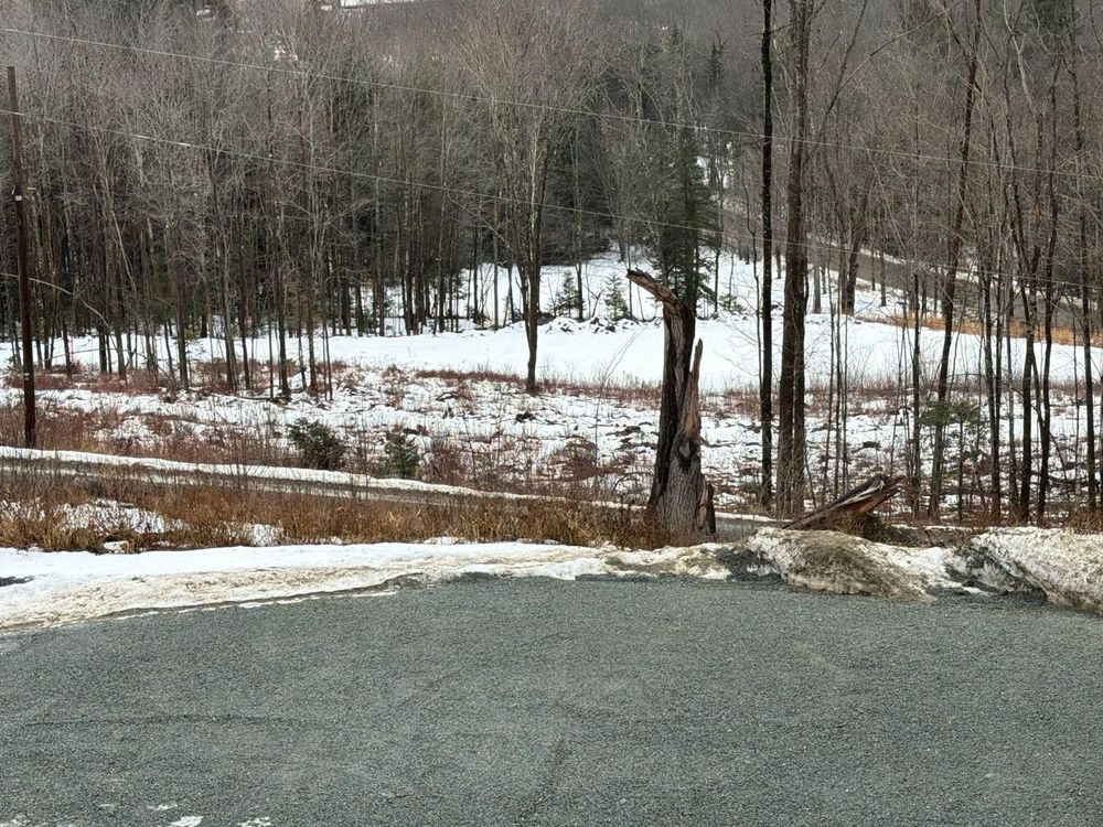 All Photos for Clifford’s Quality Tree Care & Landscaping in Enfield, NH