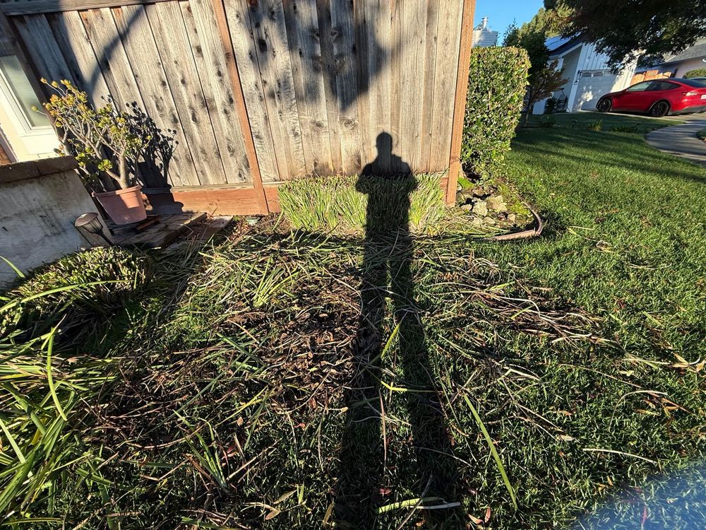 All Photos for CBA Landscaping in Hayward, CA