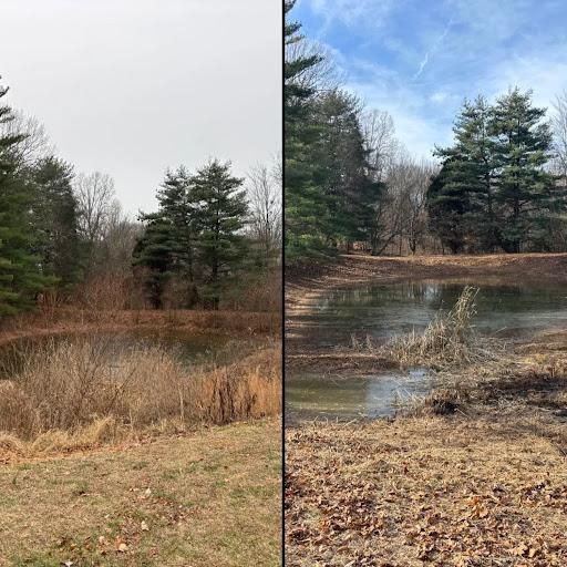 All Photos for Optimum Tree Service And Landscaping in Bowling Green, KY