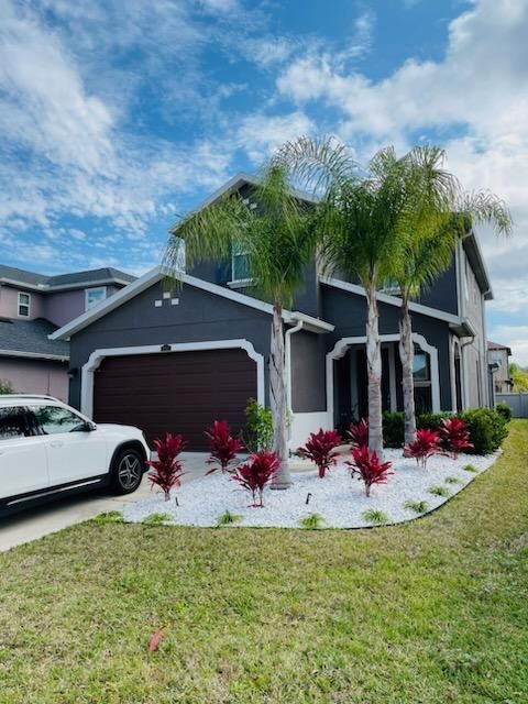 All Photos for Team Tolson Landscape in Tampa Bay, FL