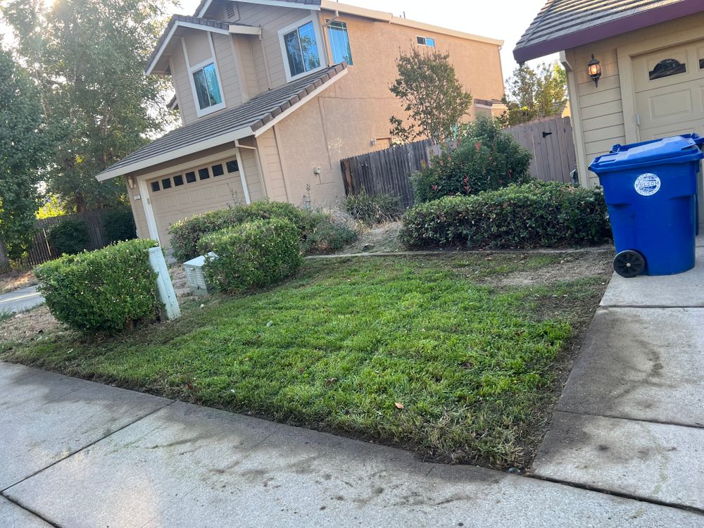 Fall and Spring Clean Up for Folsom Lake Landscaping in El Dorado Hills, CA