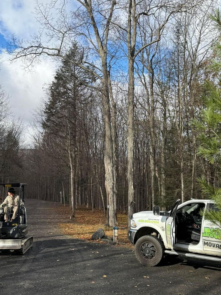 All Photos for Sterlings Tree Removal in Cobleskill, New York
