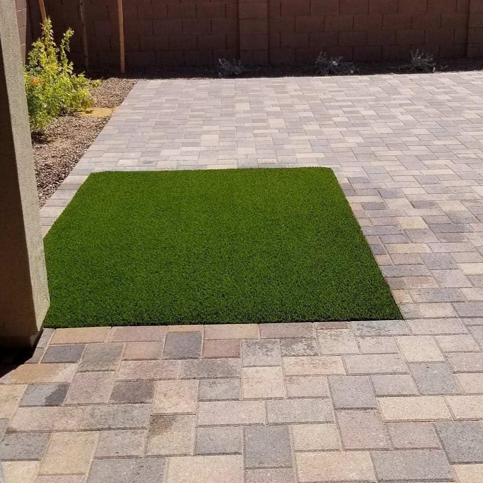 All Photos for Green landscape in Chandler, AZ