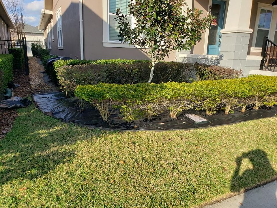 All Photos for Sam's French Drains and Landscape in Orlando, Florida