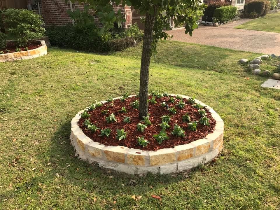 Lawn Care for Tree Valley Landscaping in Dallas, TX