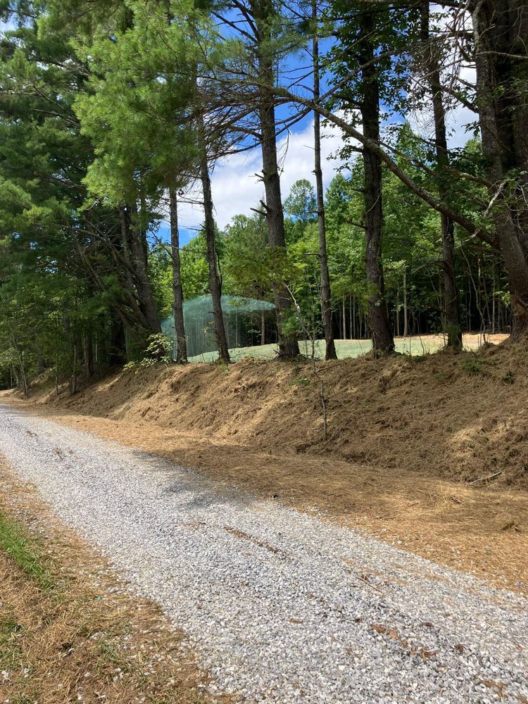 All Photos for Gibson Grade Works in Towns County, GA