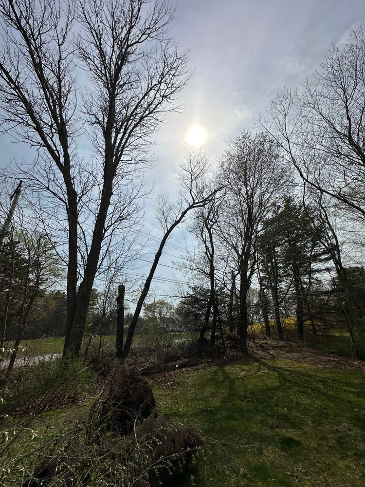 All Photos for Silver City Tree and Landscape in Taunton, MA