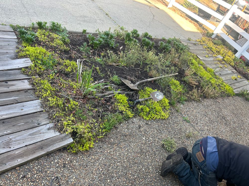 All Photos for The Whole 9 Yards Landscape VA in Heathsville, VA