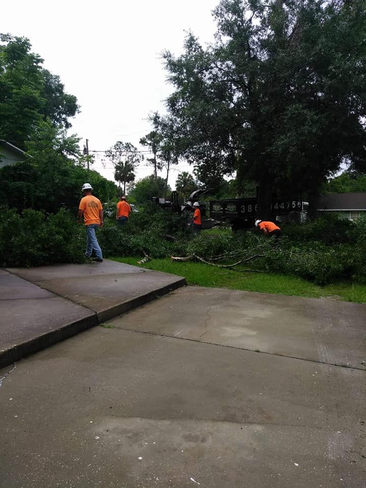 Our Forestry Mulching service efficiently clears underbrush and small vegetation, improving the health of your property while reducing fire risk. Enhance your land's aesthetics with our eco-friendly solution today! for Daniel Hickey’s Tree Service in DeLand, FL