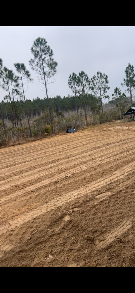 All Photos for Brandon Woodard’s Lawncare in Ludowici, GA