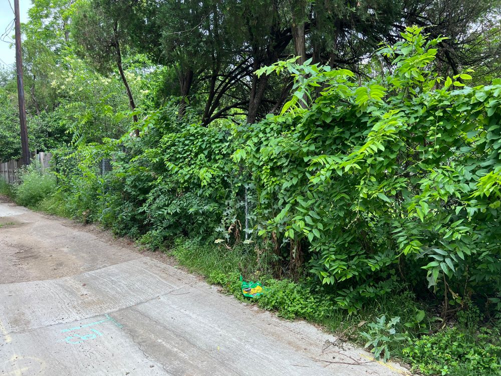 All Photos for Cortez Landscaping Services in Mesquite, TX