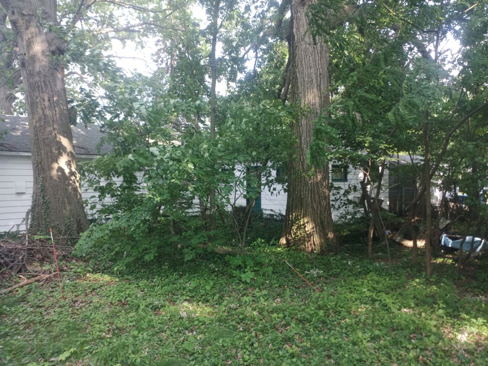 All Photos for Hendricks Mowing in Amherst, OH