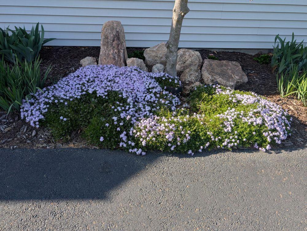 All Photos for Evolution Earthscapes, LLC in Ludlow, MA