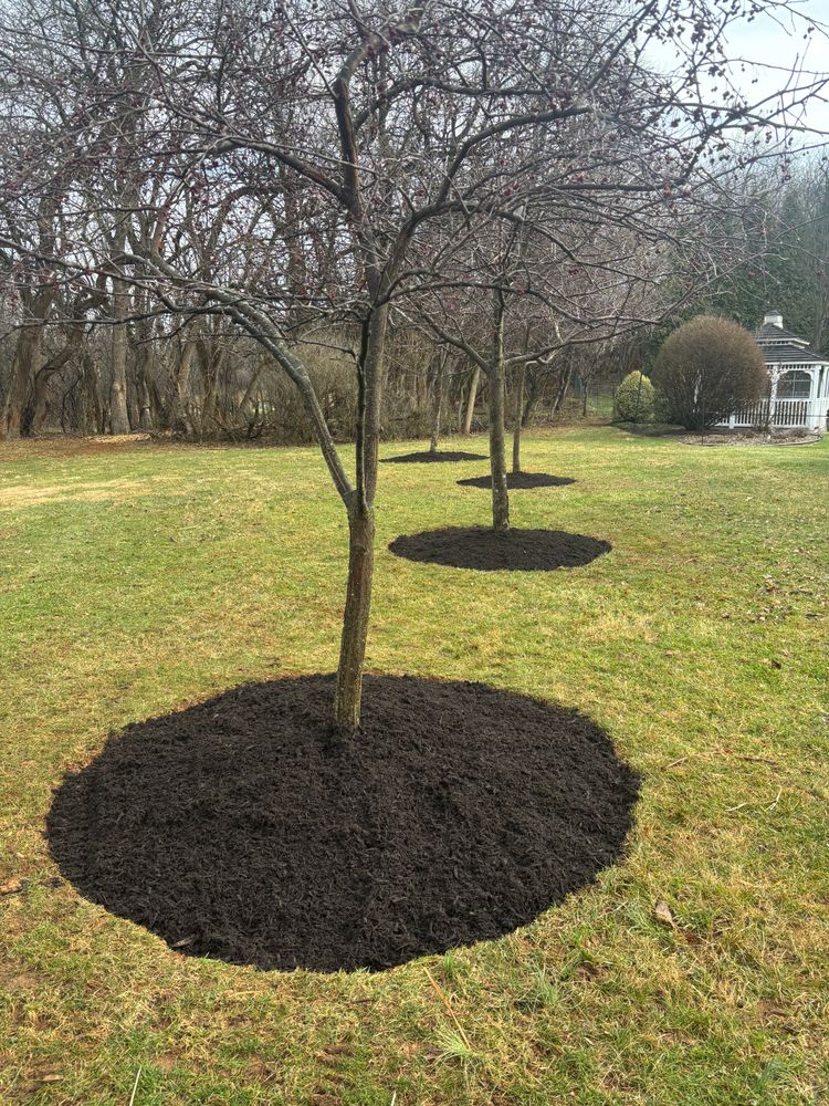 All Photos for Backyard Acres Lawncare LLC in Chambersburg, PA