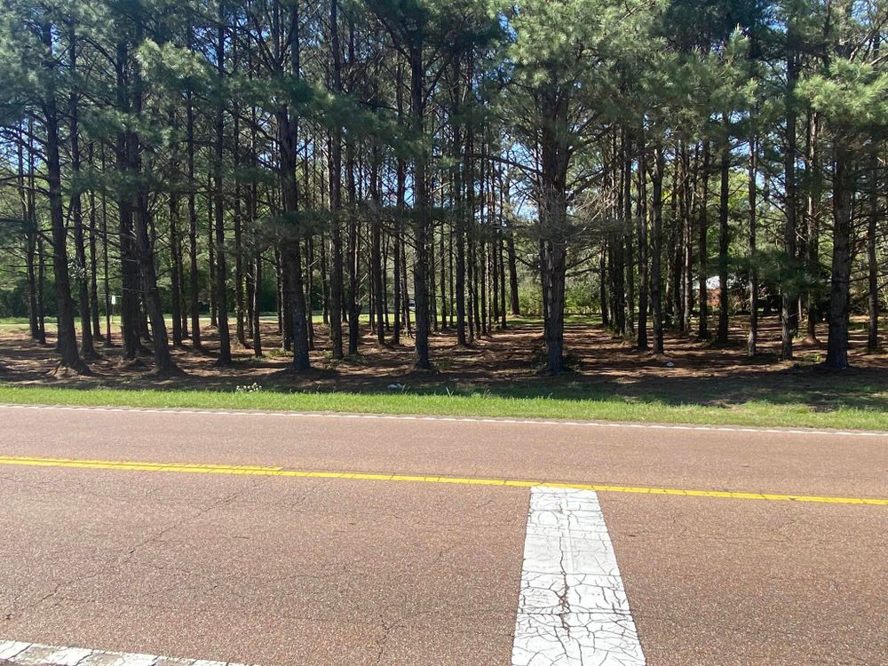 Land Clearing for South Mississippi Land Management LLC in Columbia, Mississippi