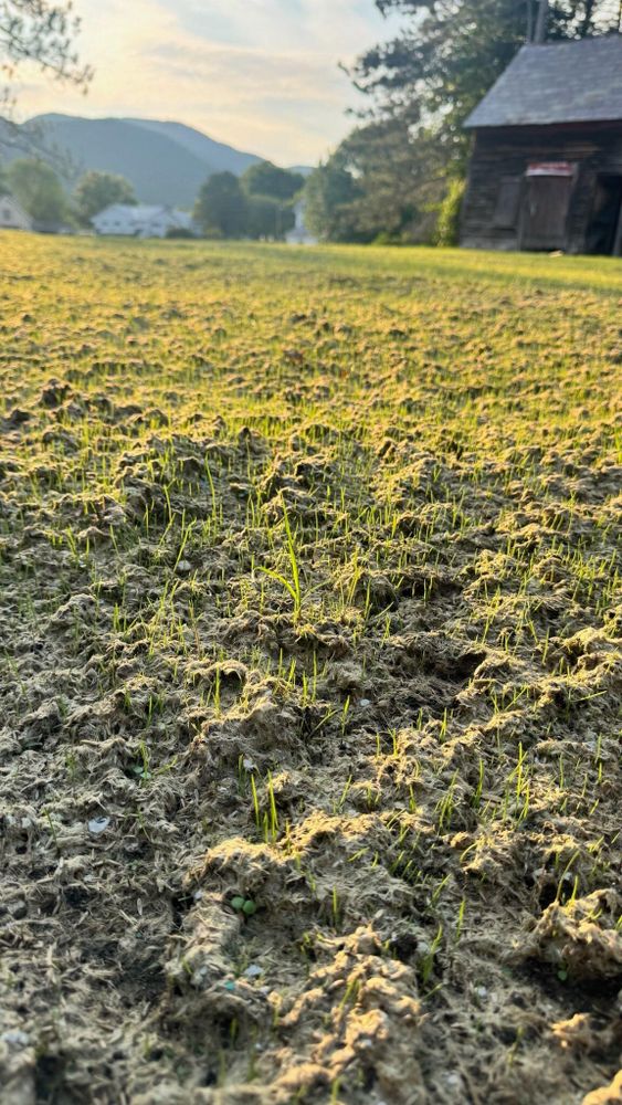 All Photos for Levi Allen Lawn Care in Rutland County, VT